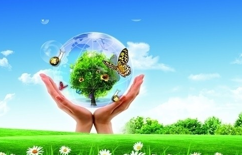 the environmental protection industry